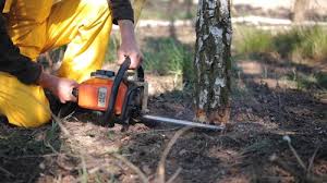 Best Lawn Watering Services  in Cornersville, TN