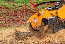 Best Aeration Services  in Cornersville, TN