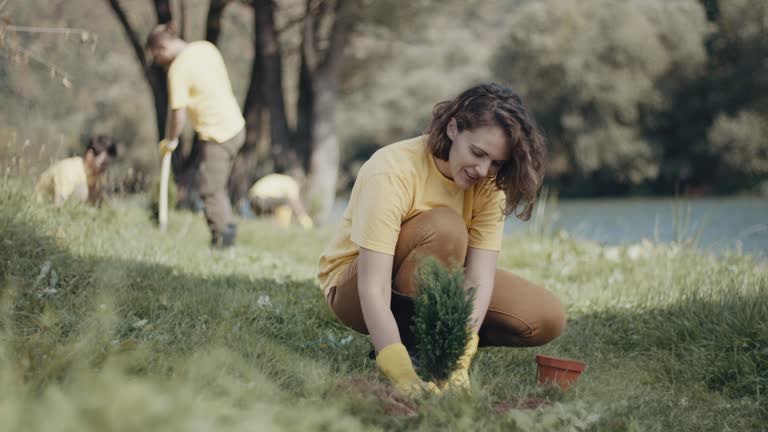 Best Lawn Pest Prevention  in Cornersville, TN